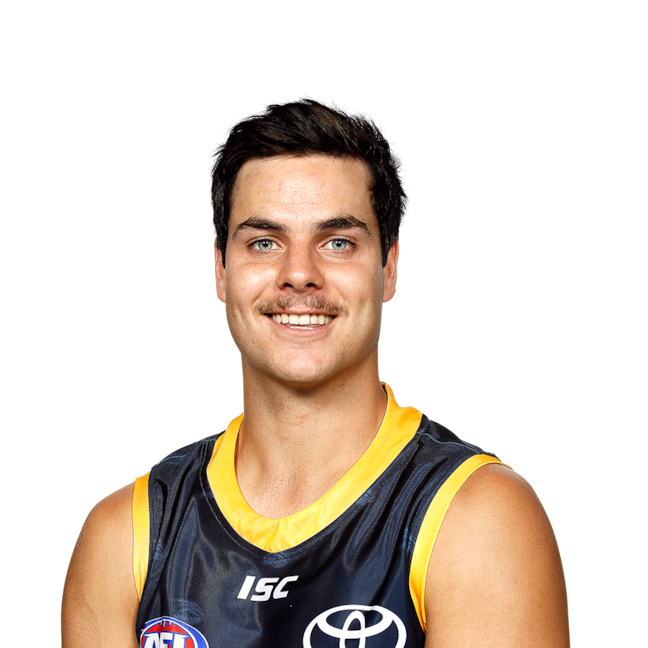 Darcy Fogarty profile picture